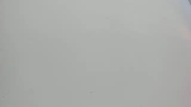 Saammy 17 online show from 10-01-25, 08:04