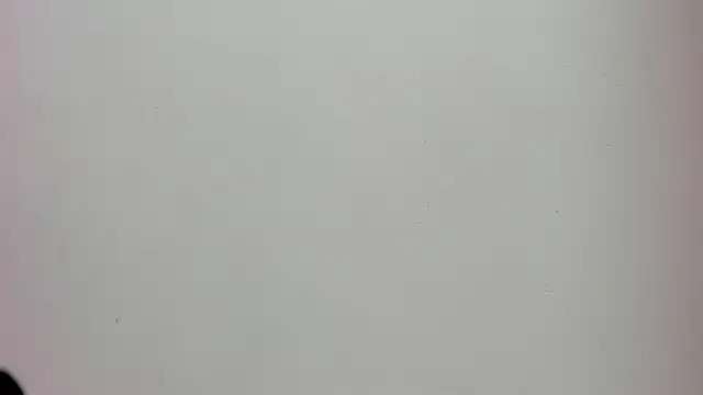 Saammy 17 online show from 10-02-25, 08:16