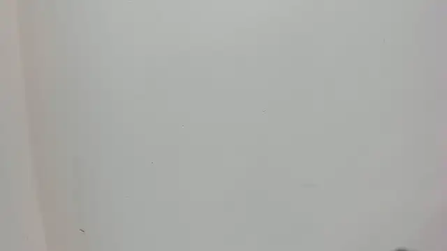 Saammy 17 online show from 10-03-25, 08:06