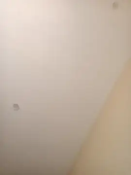 ElBufalo4l online show from 11-04-25, 01:21