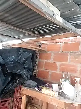 hoteder online show from 03-23-26, 12:20