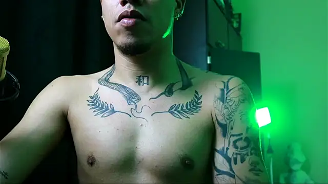 AlphaMasterXxx online show from 12-02-25, 04:07