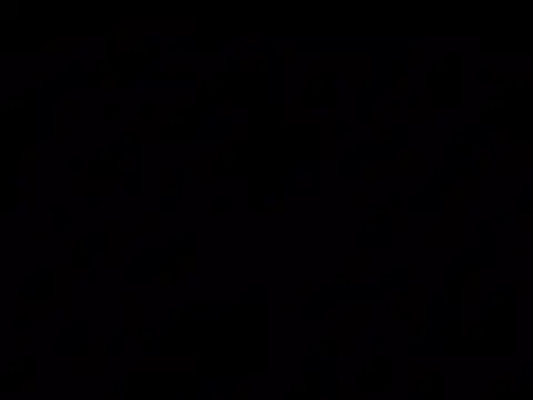 Nuttygmarley online show from 04-28-26, 11:54