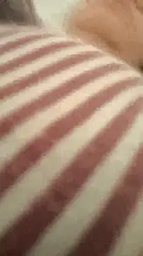 bibi perigoBr online show from 09-29-25, 03:39