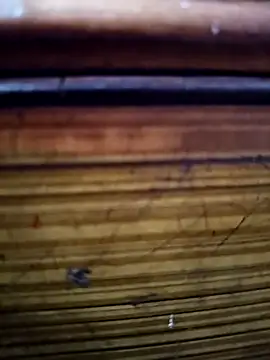 Snapshot of Shruti_Bhabhi38 chatting on 11-01-25, 05:59 Shruti Bhabhi38 online show from 11-01-25, 05:59