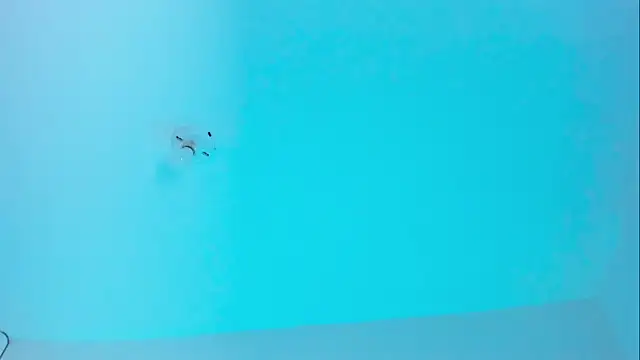 Snapshot of Ellope_ chatting on 11-19-25, 09:59 Ellope online show from 11-19-25, 09:59