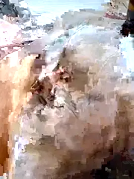 youssefwajda166 online show from 03-26-26, 02:55