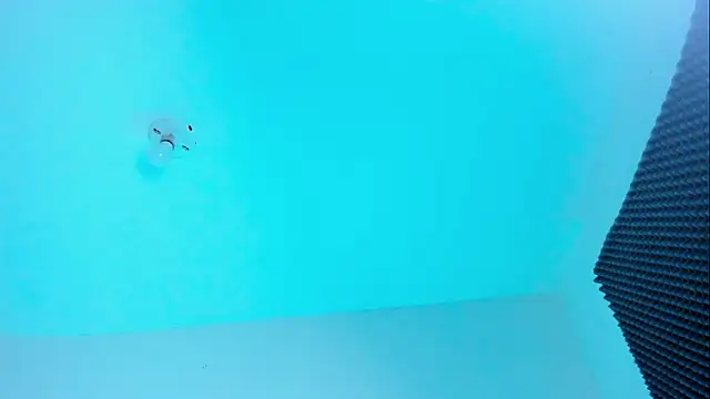 Im naho online show from 10-22-25, 11:04