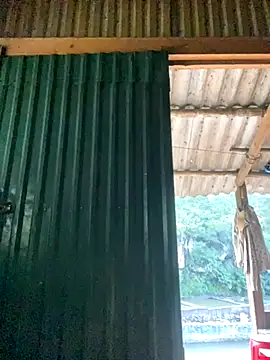 PhanHaa online show from 10-02-25, 09:49