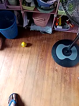 WholeAltimeter25 online show from 11-27-25, 06:15