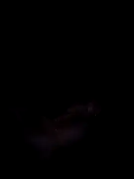 Harini Gautam online show from 09-27-25, 07:30