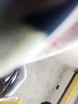 Bhavna hot online show from 02-09-26, 11:36