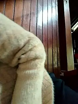 Sinejdk3 online show from 01-19-26, 09:46