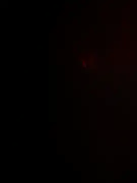 NENEandOJI online show from 06-04-26, 02:56