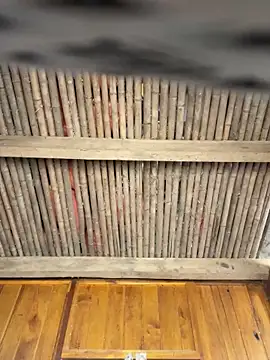 EmLy02 online show from 04-13-26, 01:11