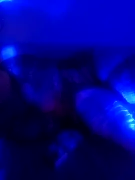 senacansu online show from 10-26-25, 02:50