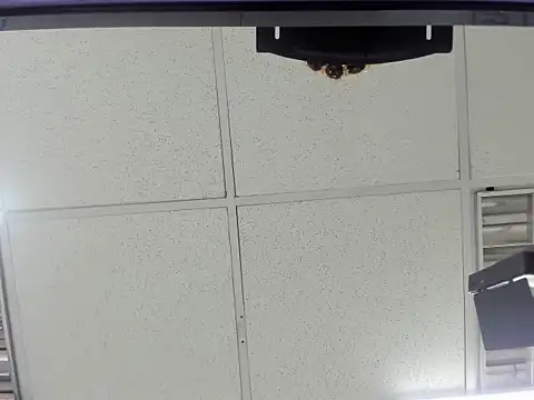 Snapshot of Aisha_hotts777 chatting on 03-20-26, 02:49 Aisha hotts777 online show from 03-20-26, 02:49