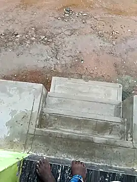 dolphiinn online show from 10-16-25, 02:34