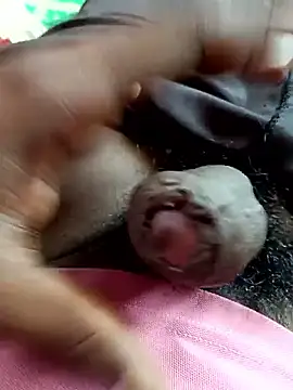 dolphiinn online show from 11-04-25, 05:28