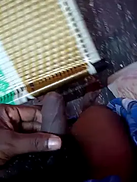 dolphiinn online show from 11-24-25, 01:11