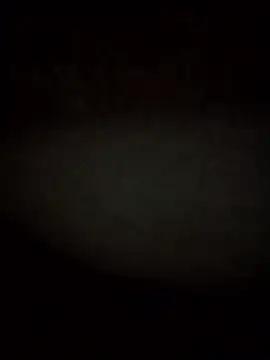 Snapshot of RevokingWaverer chatting on 02-03-26, 12:10 RevokingWaverer online show from 02-03-26, 12:10