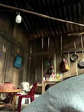 Snapshot of rosa-1200 chatting on 11-05-25, 01:49 rosa-1200 online show from 11-05-25, 01:49