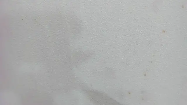 scarlett646 online show from 12-04-25, 03:05