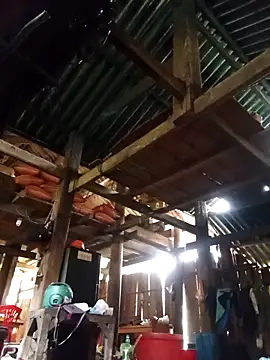 Snapshot of Ngocmi909 chatting on 03-11-26, 06:30 Ngocmi909 online show from 03-11-26, 06:30