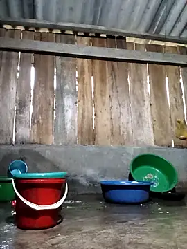 Snapshot of Ngocmi909 chatting on 03-11-26, 11:55 Ngocmi909 online show from 03-11-26, 11:55