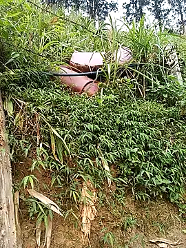 Snapshot of Ngocmi909 chatting on 03-19-26, 01:42 Ngocmi909 online show from 03-19-26, 01:42