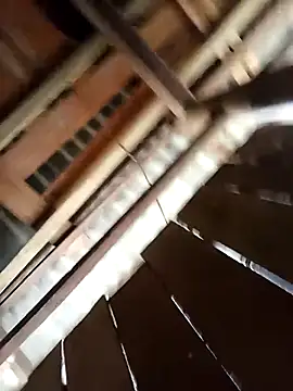 Snapshot of Ngocmi909 chatting on 03-22-26, 03:10 Ngocmi909 online show from 03-22-26, 03:10