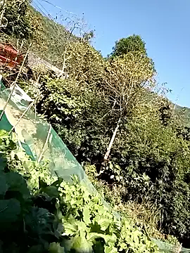 Snapshot of Maymay0033 chatting on 11-29-25, 04:59 Maymay0033 online show from 11-29-25, 04:59