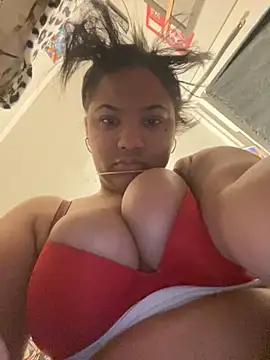 StylishEchium online show from 11-24-25, 08:52