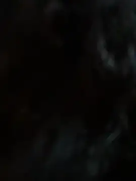 StylishEchium online show from 01-19-26, 12:09