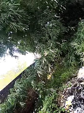 onlymasti00 online show from 11-04-25, 08:57