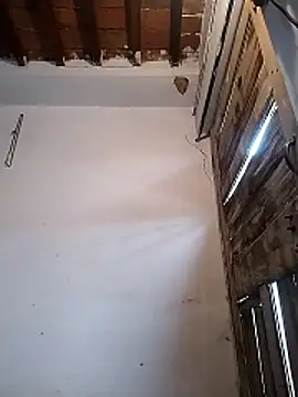 PunjabiSardarBull online show from 03-19-26, 04:38