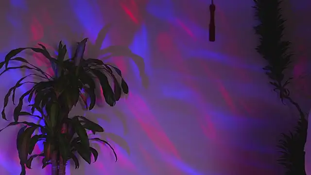 bri von dhara   online show from 03-07-26, 12:18