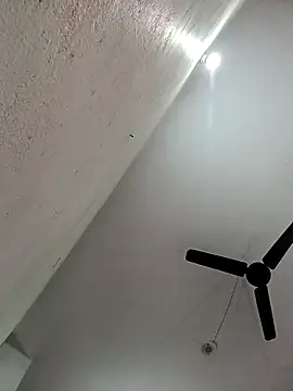 Appypie online show from 11-11-25, 05:51