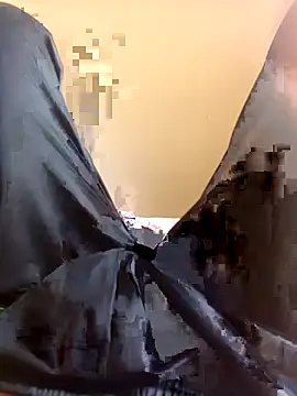 WrinkledTriops online show from 03-29-26, 09:09