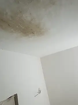 thunderrony online show from 10-06-25, 03:09