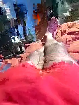 QJHoElyking online show from 10-10-25, 03:27