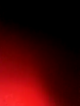 BlackCobraOwner online show from 10-15-25, 11:21