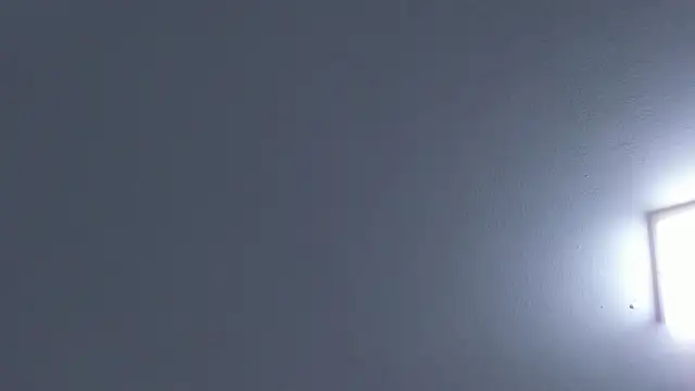 Kristenbread online show from 10-15-25, 02:44