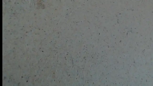 crazy daniela online show from 10-23-25, 08:18