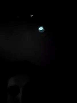 GauchoTezudo online show from 09-14-25, 04:55