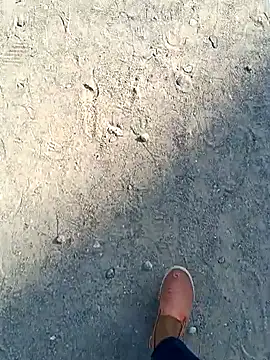 Snapshot of beerant chatting on 11-16-25, 05:35 beerant online show from 11-16-25, 05:35