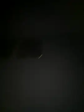 Charmeur4444 online show from 09-20-25, 04:02