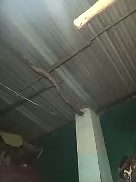 Hot-honi online show from 09-19-25, 01:45