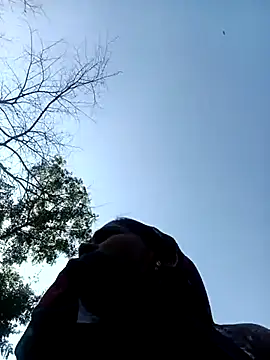 Hot-honi online show from 12-18-25, 07:36