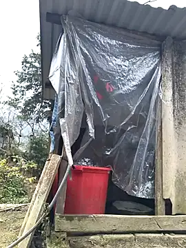 liu-liusexy online show from 01-19-26, 08:18